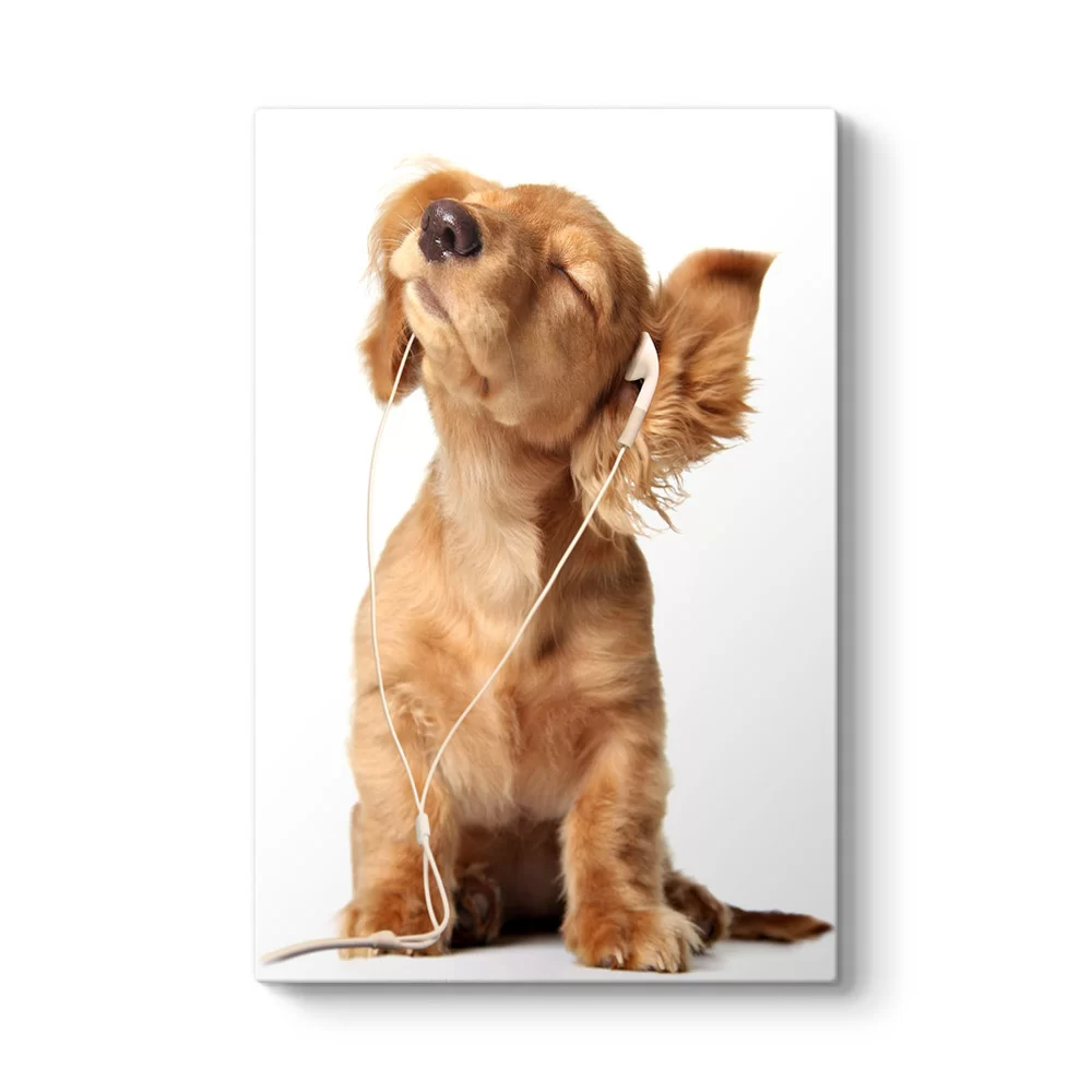 Sevimli Köpek Tablosu - Model 2